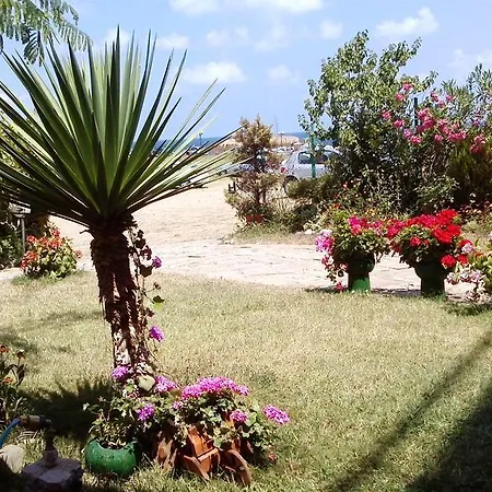 Prt Rainbow Pensión