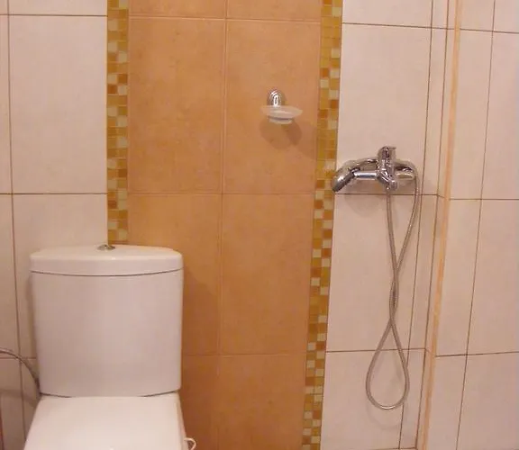 Prt Rainbow 로제넷츠